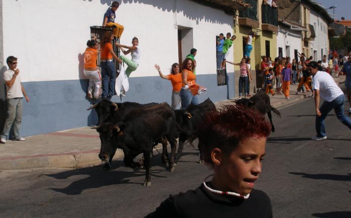 foto de los novillos