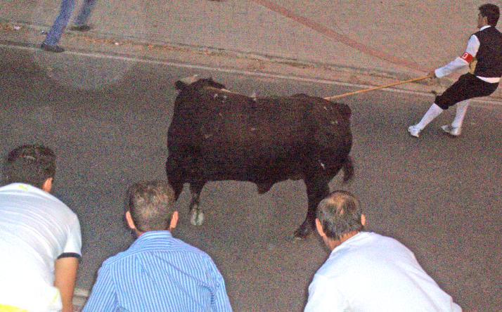 foto de Toro de la Nava