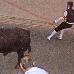 foto de Toro de la Nava
