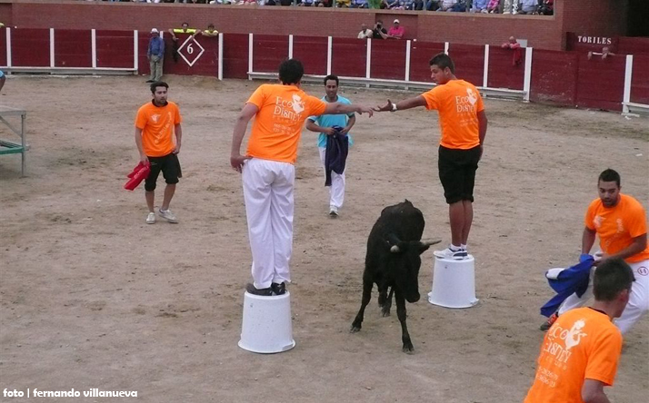 foto de los novillos