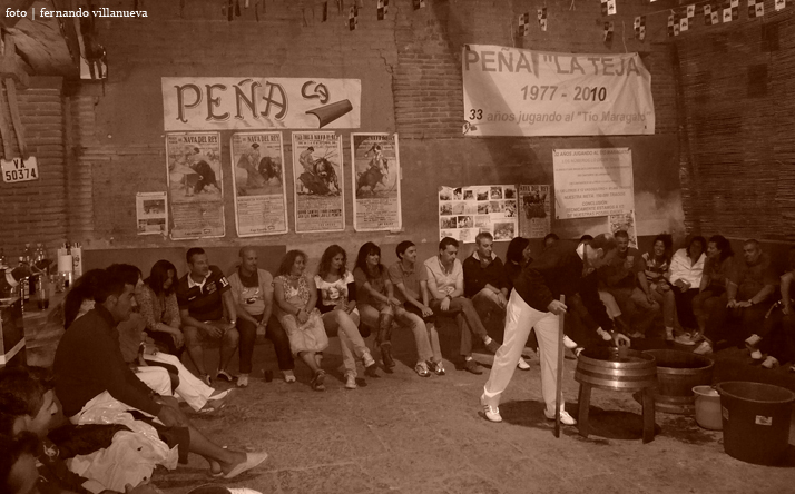 foto de los novillos