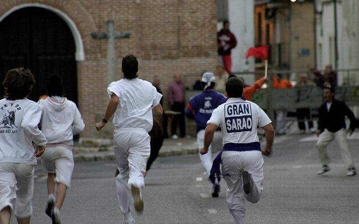 foto de los novillos