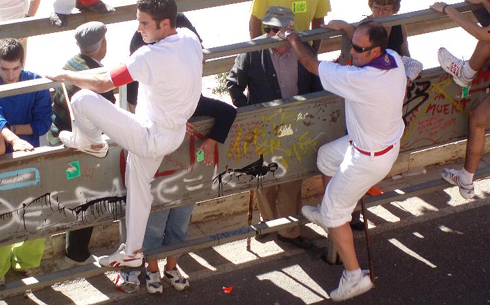 foto de los novillos