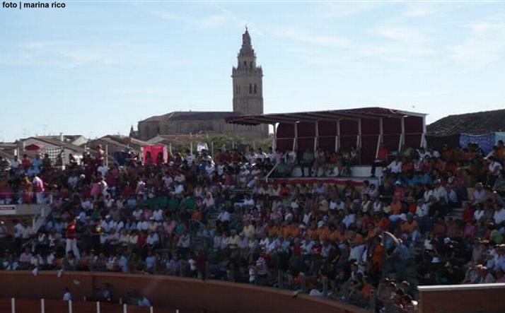 foto de los novillos