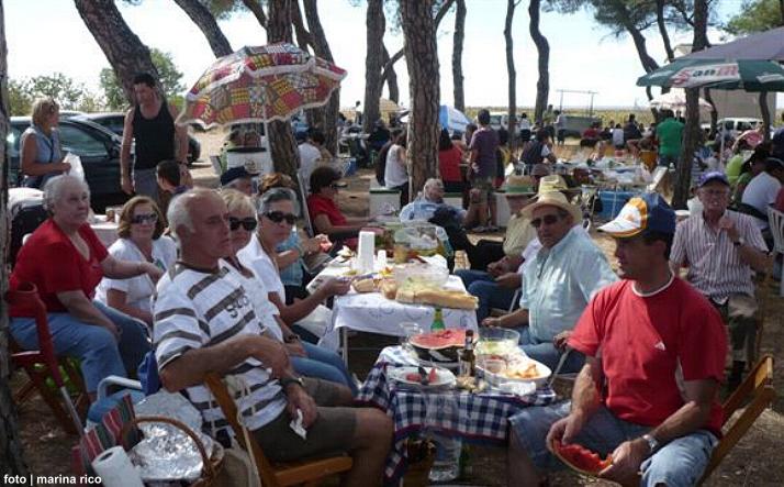 foto de los novillos