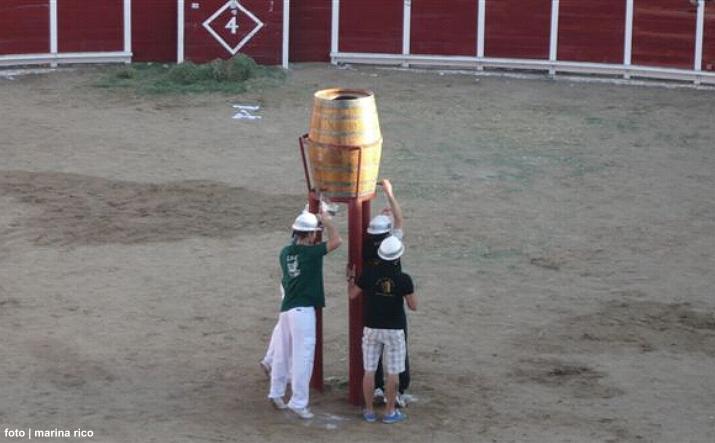 foto de los novillos