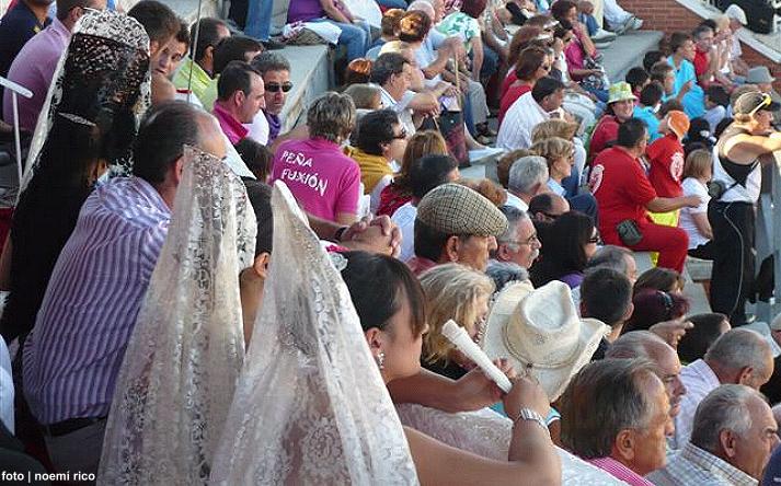 foto de los novillos