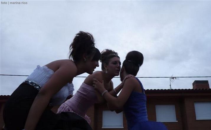 foto de los novillos