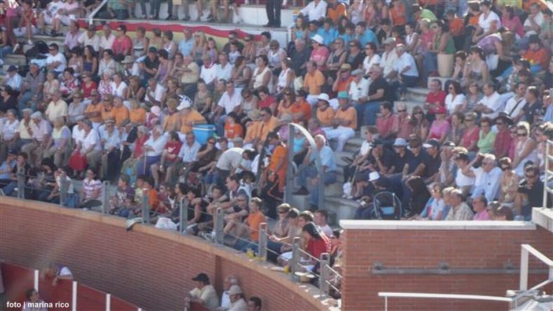 foto de los novillos