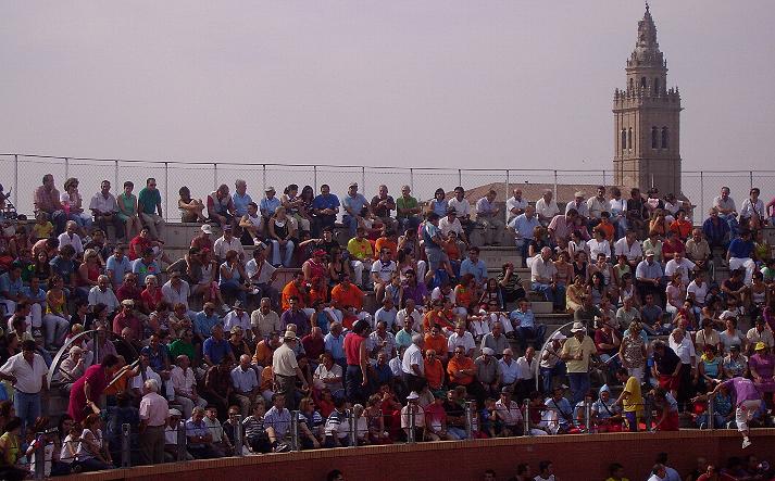 foto de los novillos