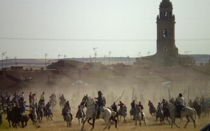 foto de los novillos