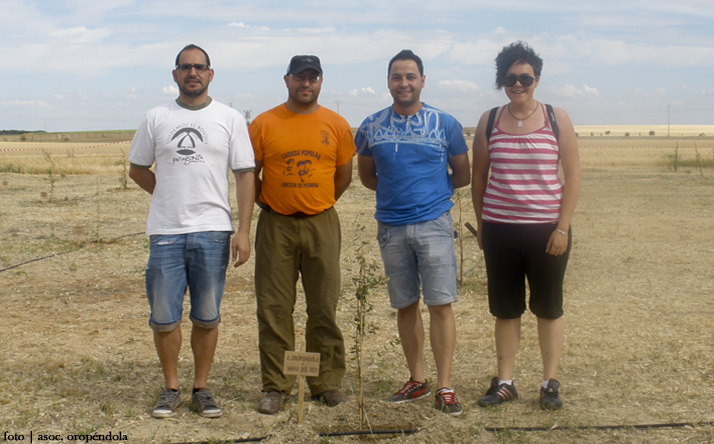 foto de asociacin oropndola