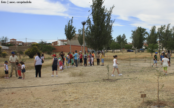 foto de asociacin oropndola