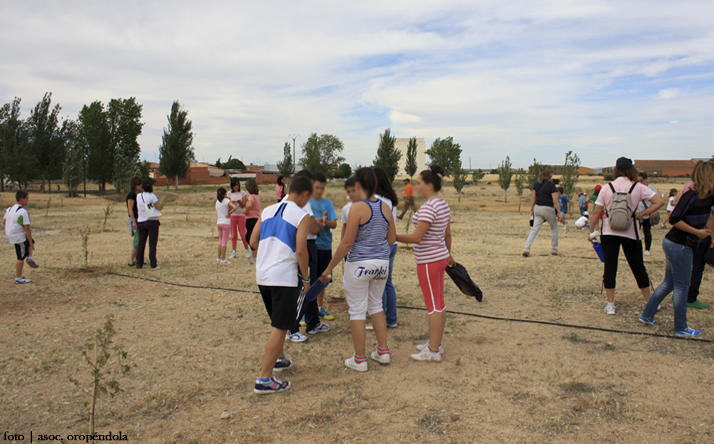 foto de asociacin oropndola