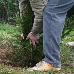 foto de asociaci�n orop�ndola
