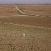 foto de asociaci�n orop�ndola