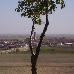 foto de asociaci�n orop�ndola