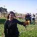 foto de asociaci�n orop�ndola