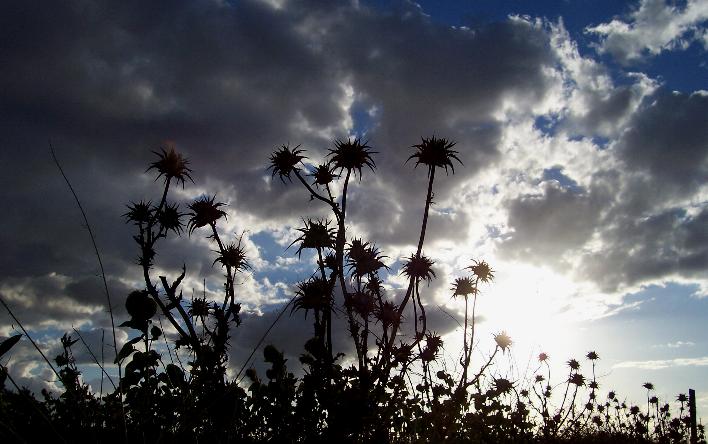 foto de paisajes