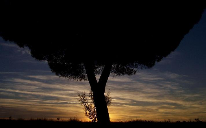 foto de paisajes