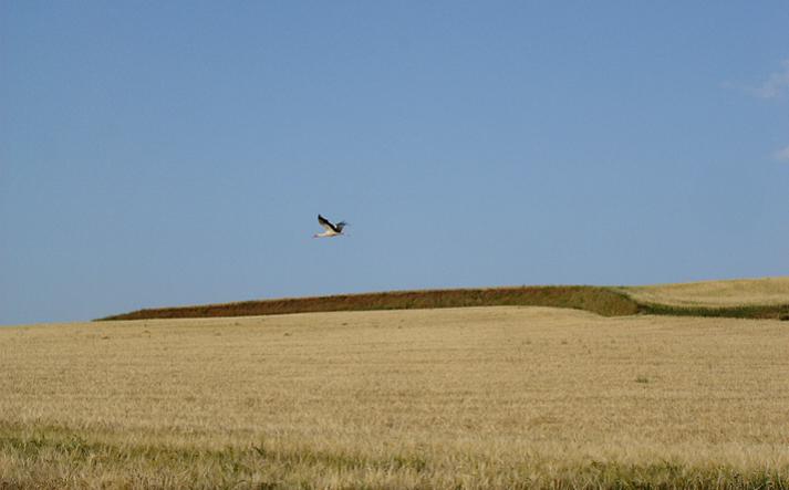 foto de paisajes