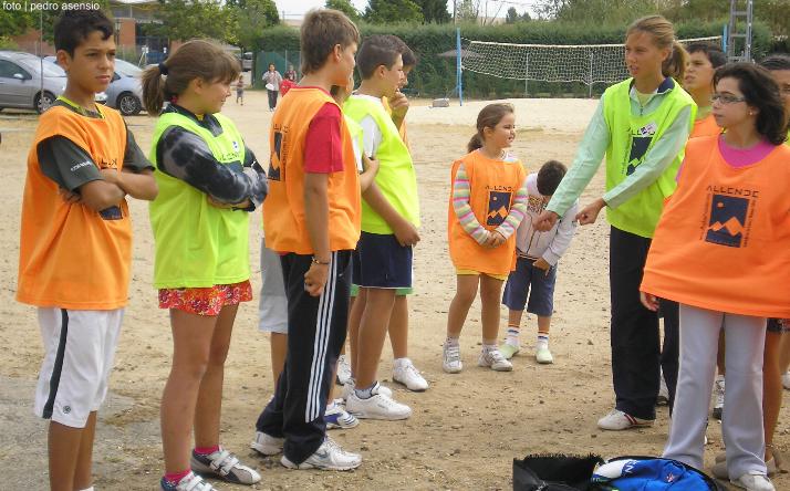 foto de los novillos