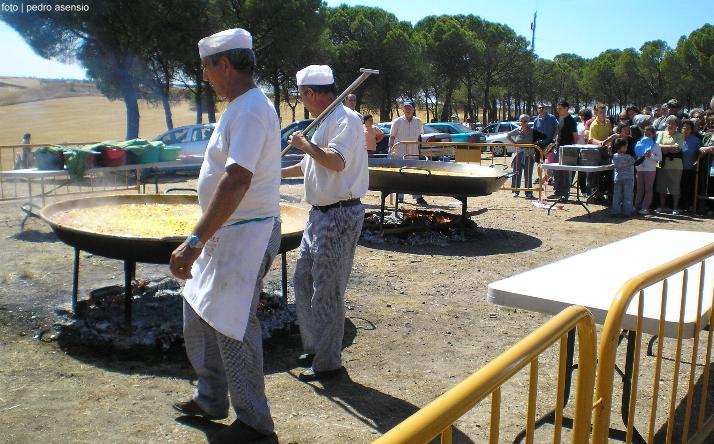 foto de los novillos