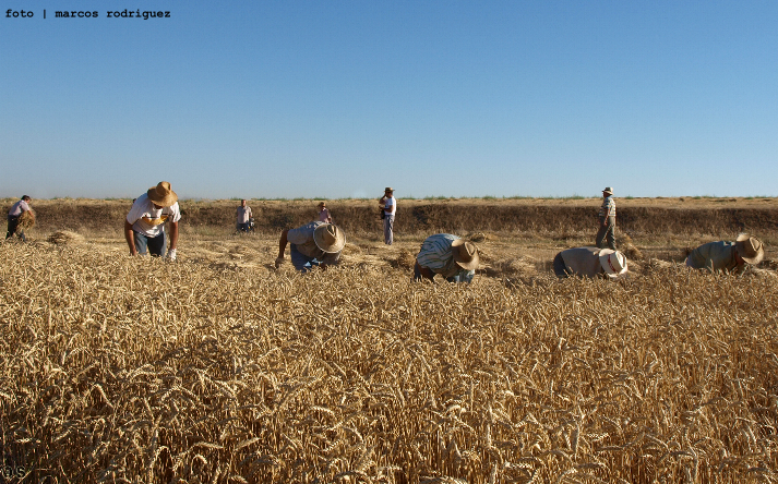 foto de Asoc. El Cribero